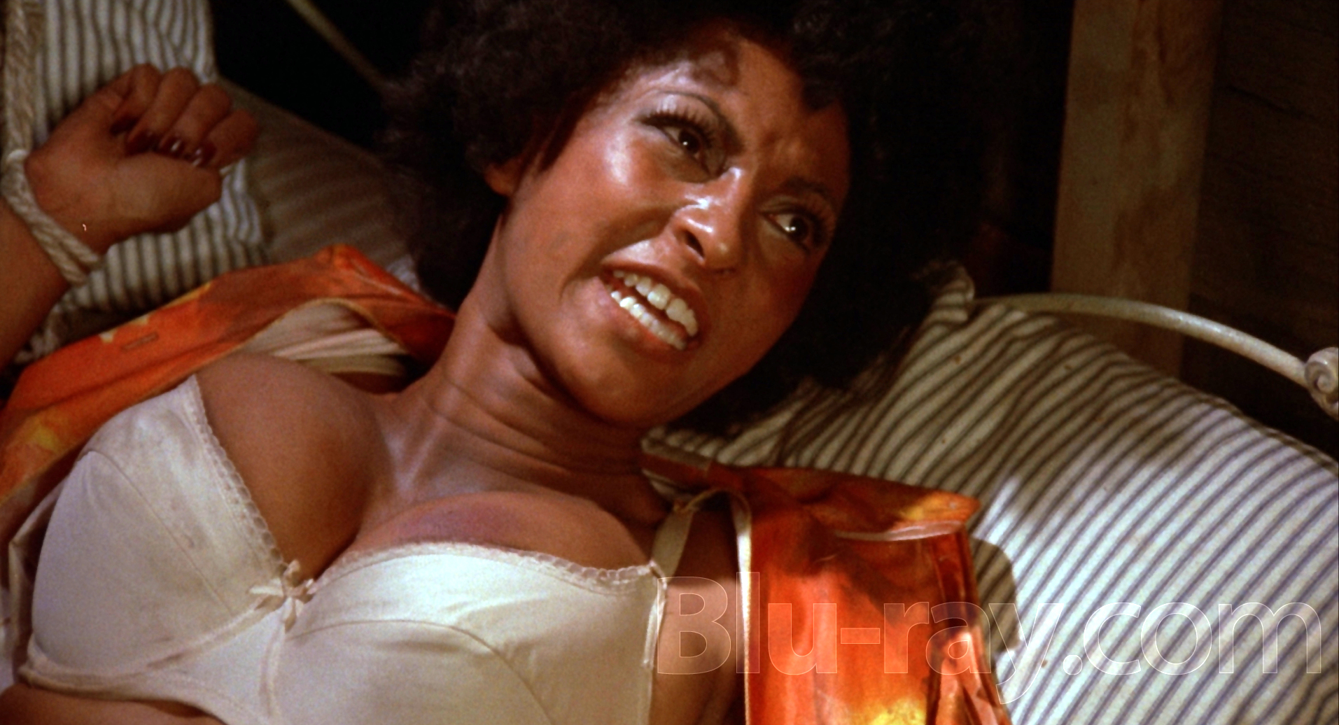 Pam Grier HD wallpapers and background pictures.