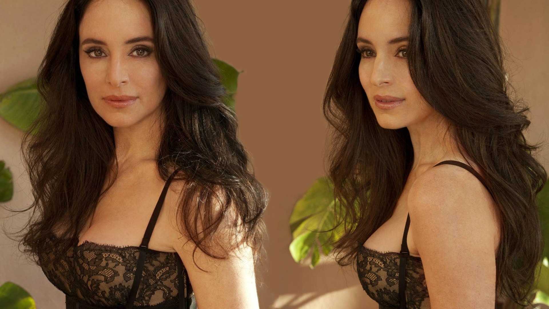 Madeleine Stowe : WALLPAPERS For Everyone